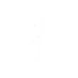 iamaesthetics.tech